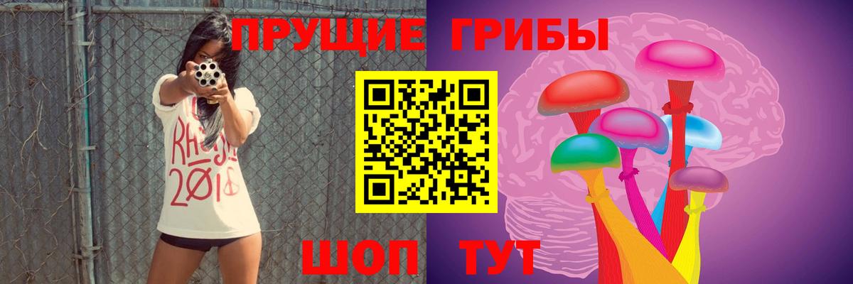 где найти   Вход с VPN  Иваново  Псилоцибиновые грибы Psilocybine cubensis 